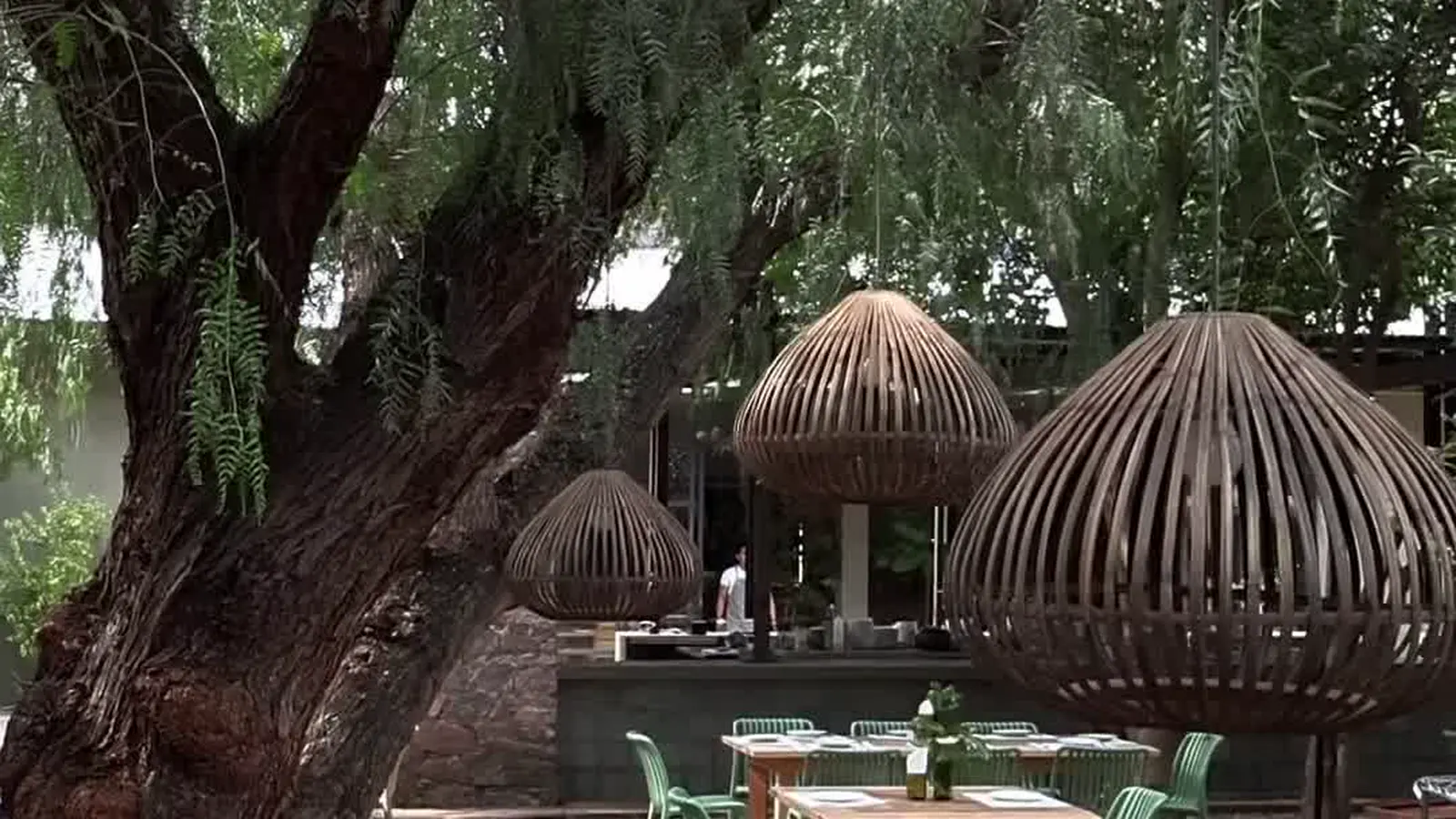 Una mesa larga de madera con sillas, puesta bajo las ramas de un árbol de tronco ancho, en un patio de grava.