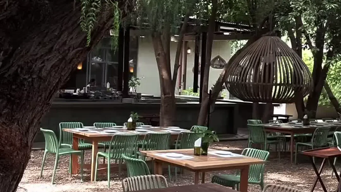 Mesas largas de madera con sillas verdes bajo las ramas de los árboles, en un patio de grava, con lámparas de mimbre colgando.